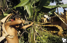Marsch zu den Yanomami